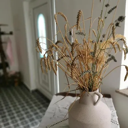 펜션 Charming With Patio And Garden 슬로벤스케코니스
